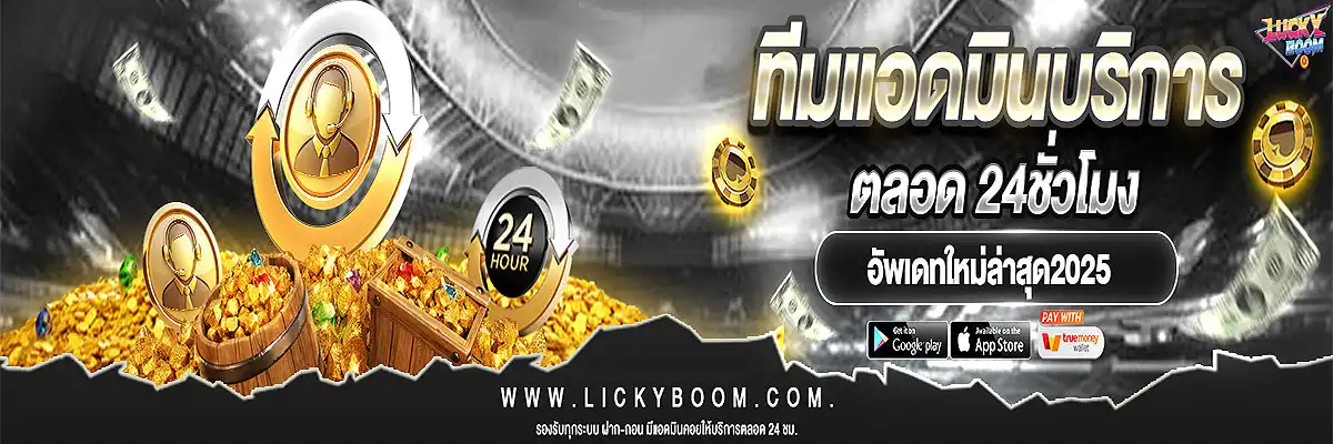 lickyboom pro4