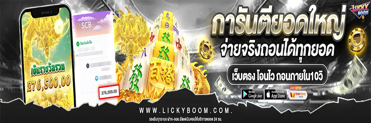 lickyboom pro3