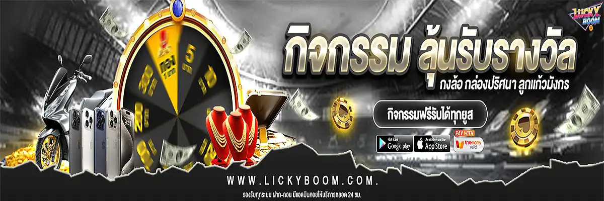 lickyboom pro1